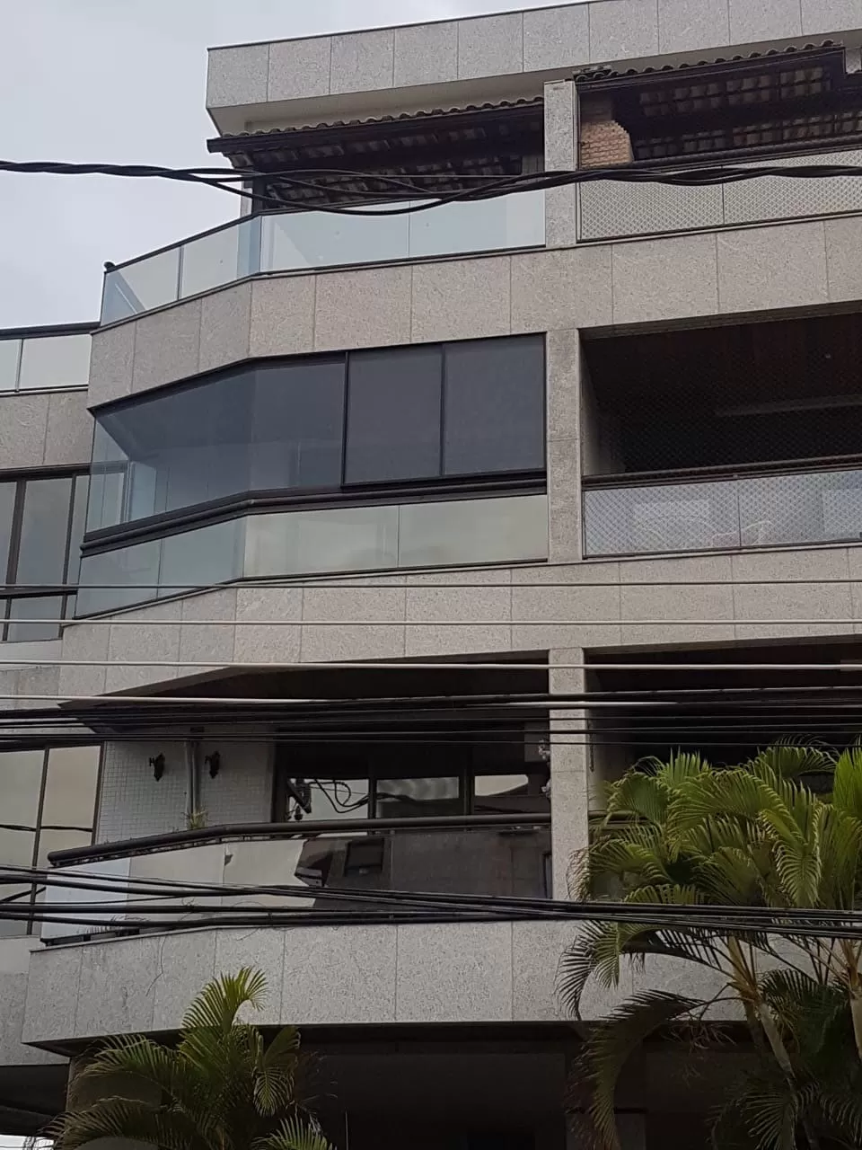 telamosquiterasacadas telamosquiterasacadas